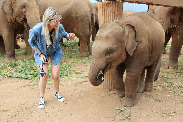 Elefantes na Tailândia: como e visitar um santuário de verdade